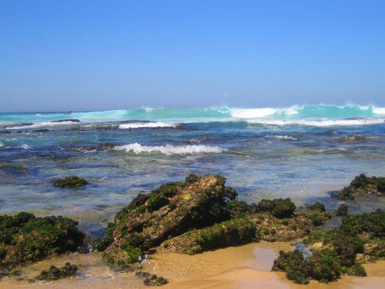 bondi-waves.jpg