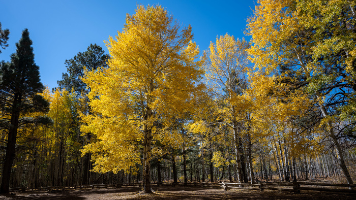 Lightroom Is Great, but Despite Adobe’s Efforts, Photoshop Is Still King