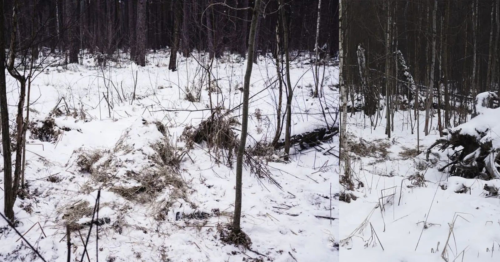 sniper