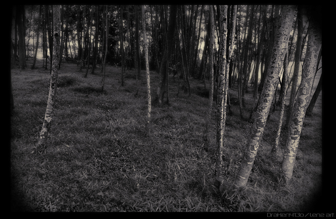 Jungle_Black_by_Draken413o.jpg