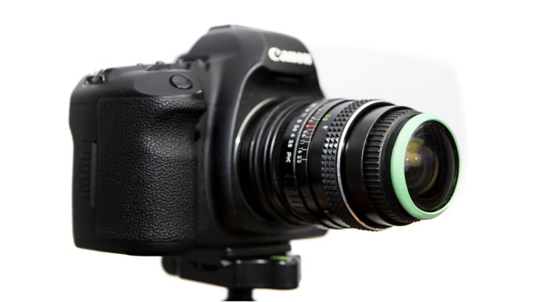 19-800x437.jpg