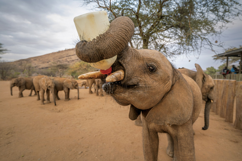 NationalGeographic_2777021-800x533.jpg