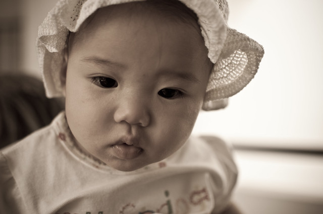 6363583991_975450abae_z.jpg