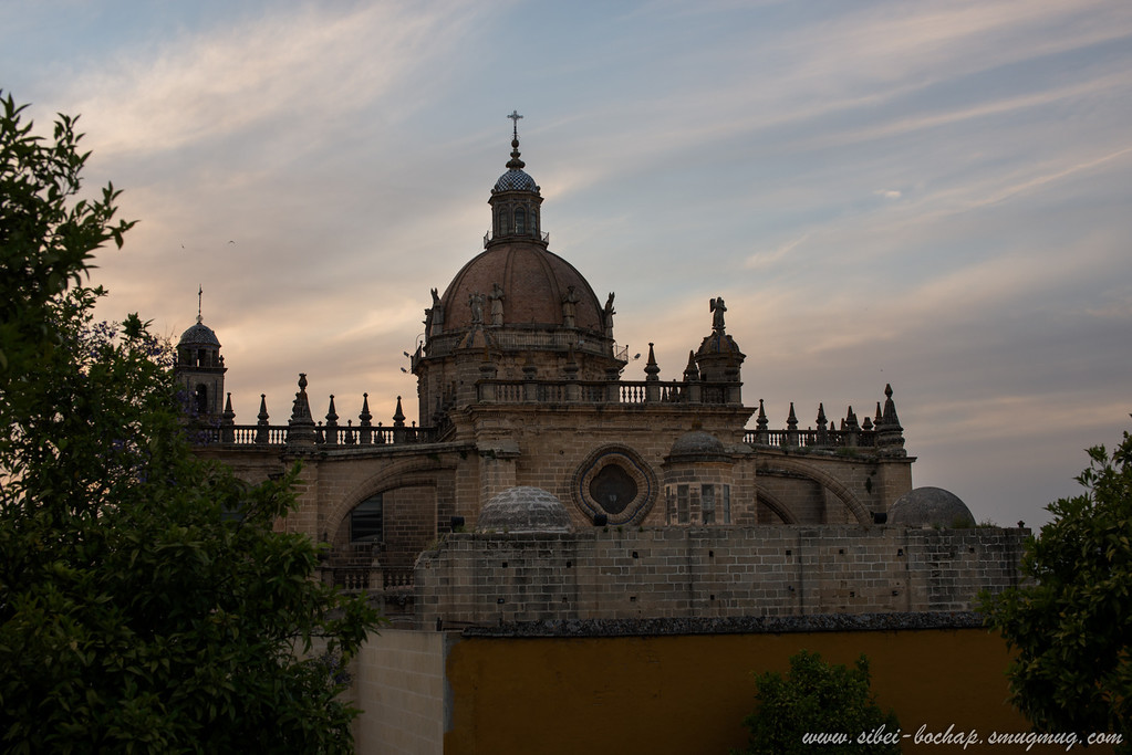 DSC_9311-XL.jpg