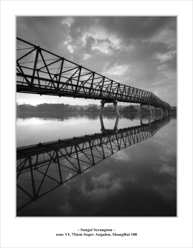 punggol_bridge006.jpg