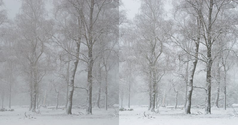 lowcontrastfeattt-800x420.jpg