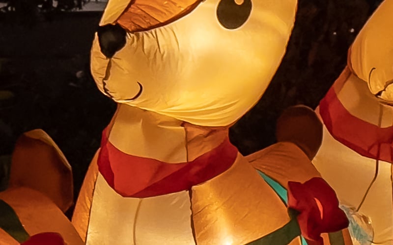ProRAW_9_crop.jpg