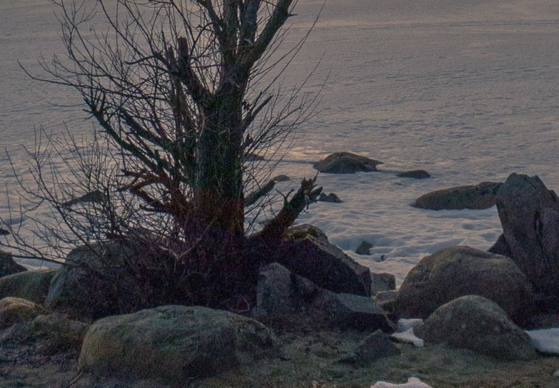 1_fHaDU-qMyjrfQVijHzEkkA-800x556.jpg