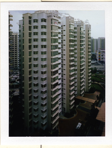 lf017.jpg