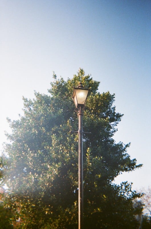 Snap-LF-35M_Kodak-Ultramax-400-18-530x800.jpg