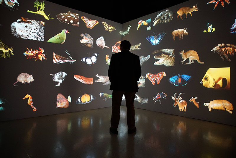 Joel-Sartore.jpg