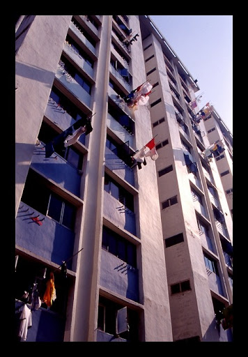 img007.jpg
