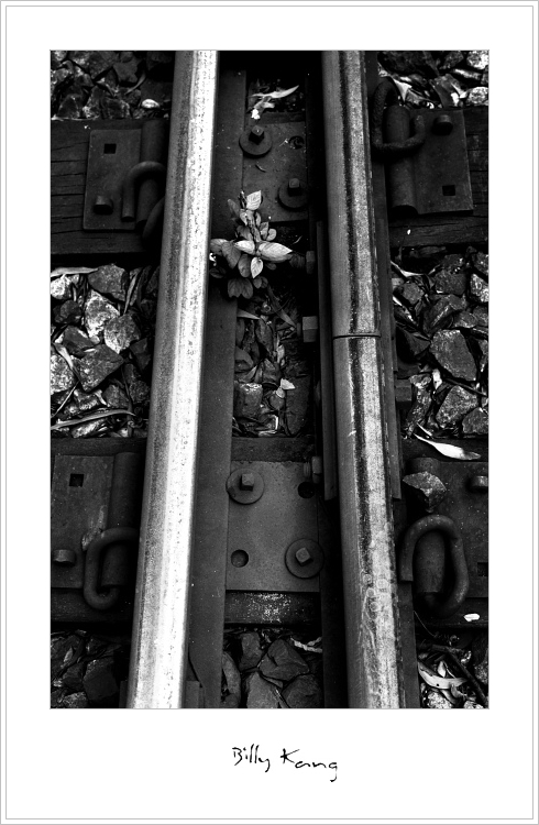 railway005a.jpg