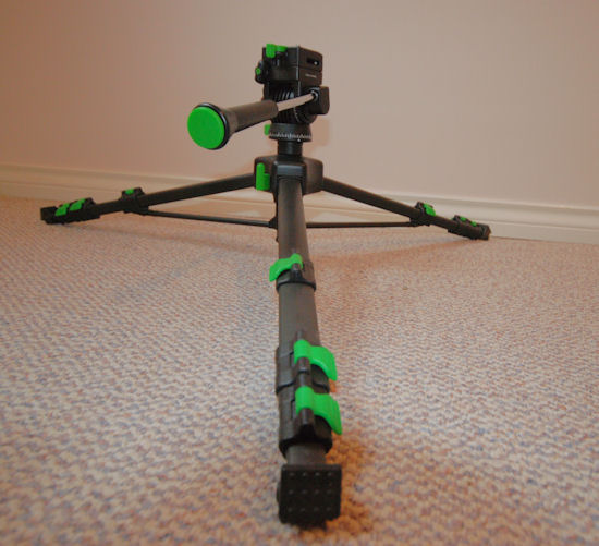 FinalSpider7.jpg