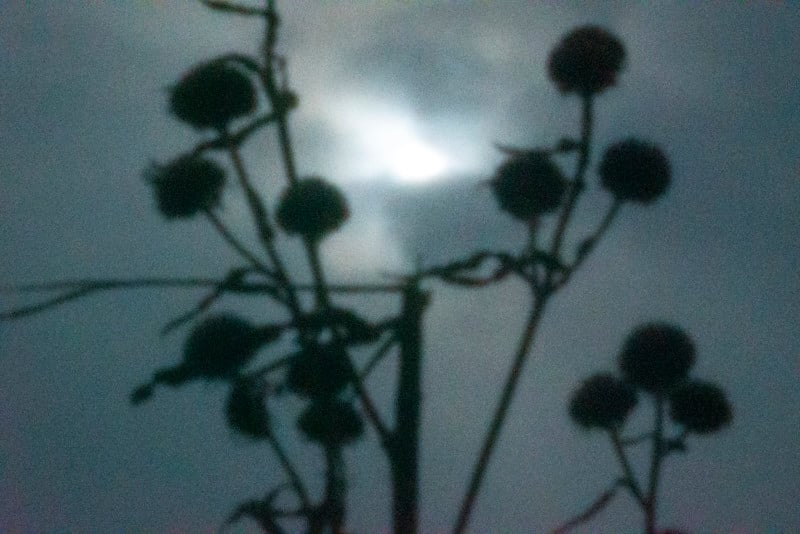 Pringles Can Pinhole telephoto lens example photo