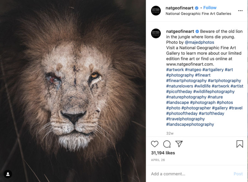nat-geo-fine-art-instagram-post-1-800x587.jpg