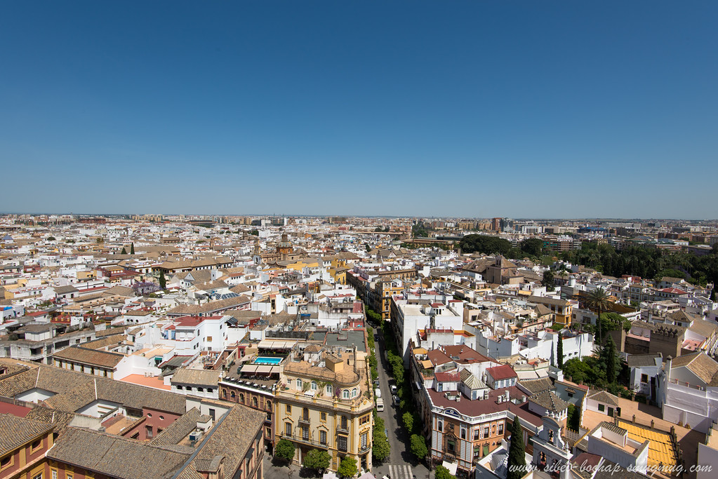 DSC9060-XL.jpg