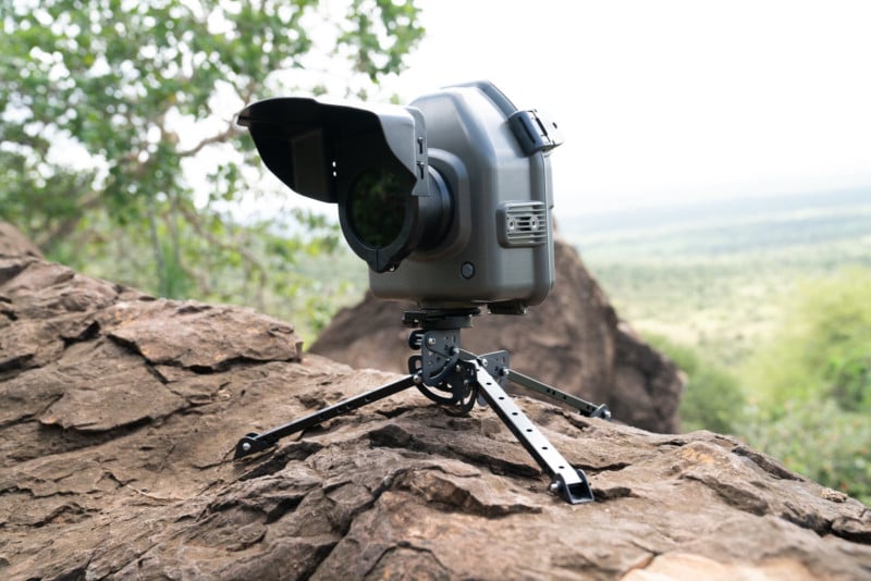 example-camera-trap-800x534.jpg