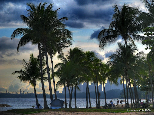 beach7.jpg