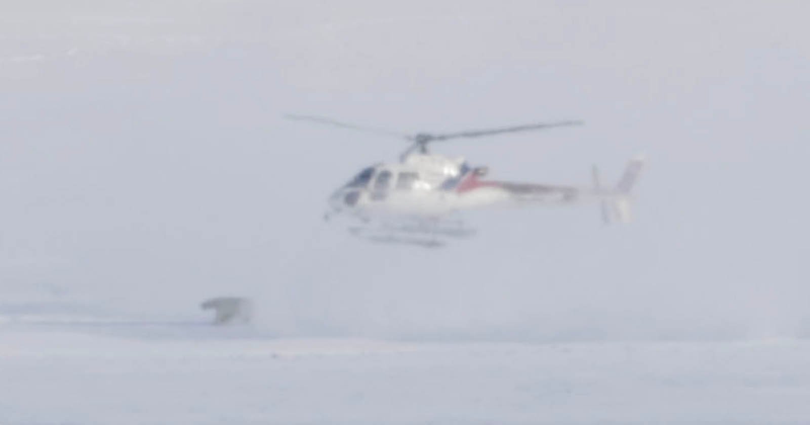 A helicopter hovers low above a snowy landscape, stirring up a cloud of snow. A polar bear is visible on the ground amidst the blowing snow.