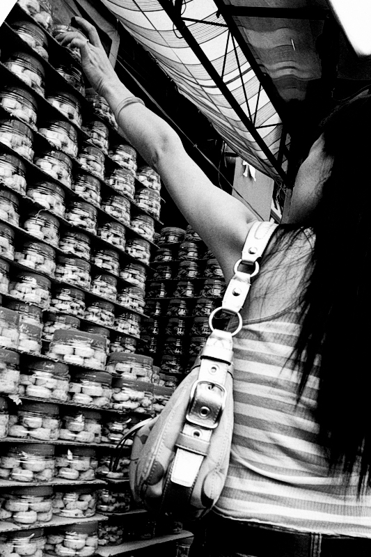 4337401020_4ef9d61fb4_o.jpg