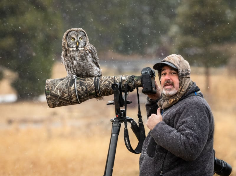 owlblendin-800x596.jpg