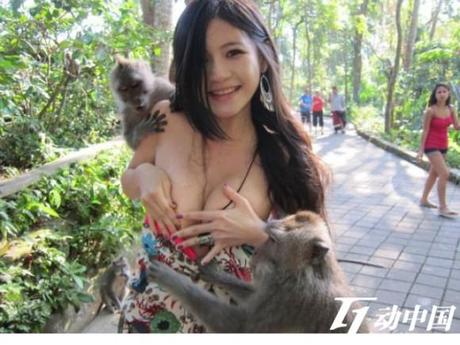jolly-bali-monkeys-say-yes-to-more-than-the-d-L-cyFYoK.jpeg