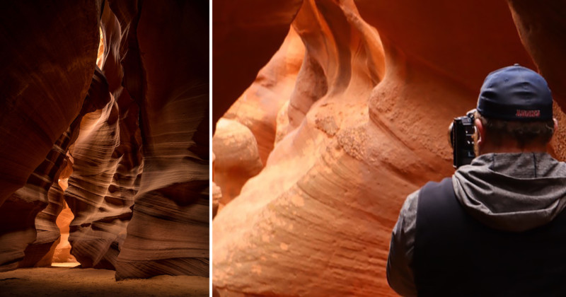 antelope_feat-800x420.jpg