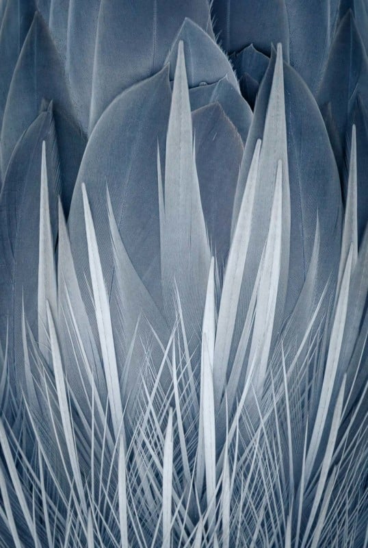 web-ATTENTIONTODETAIL-Bronze-KerryWu-538x800.jpg