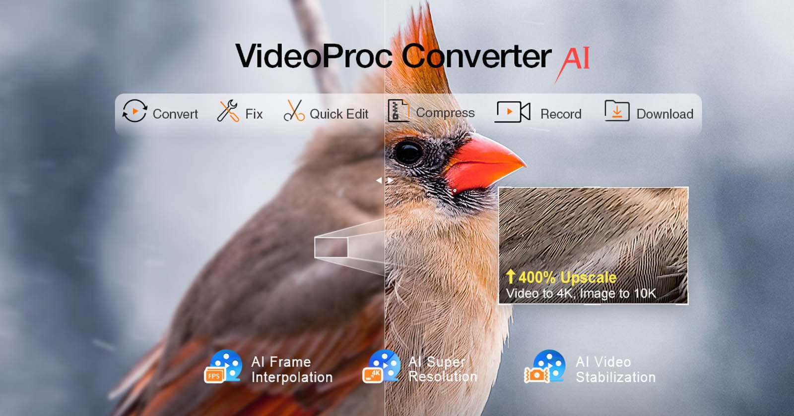 Image of a graphic for VideoProc Converter AI, showing features like video conversion, fixing, editing, compressing, recording, and downloading. There's an image of a bird, half of which is enhanced, demonstrating AI Frame Interpolation, AI Super Resolution, and AI Video Stabilization.