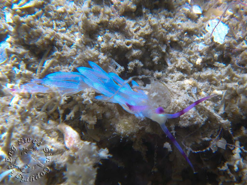 IMG_5295.jpg