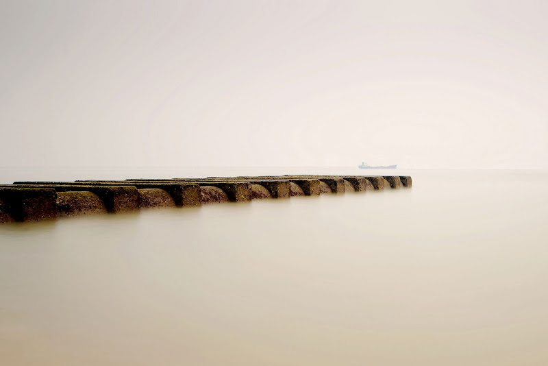 DSC_7219edit1.jpg