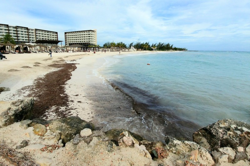 Cell-phone-scouting-beach-800x533.jpg