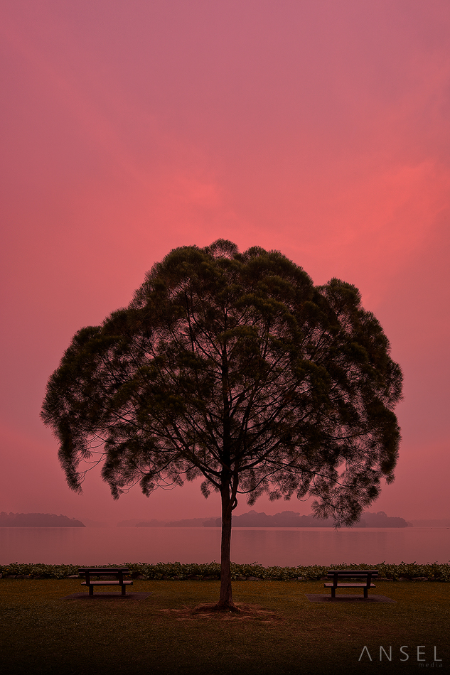 z_pink_smog_by_draken413o-d69w2x6.jpg