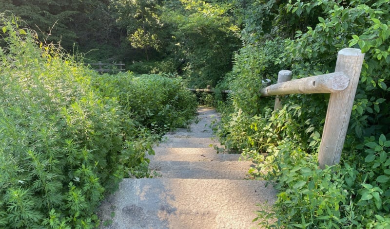 Image-4_3-challenging-walkway-option-1-800x471.jpg