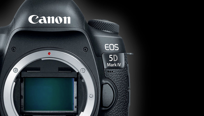 Canon Dominated Gear Rentals in 2020 — Again