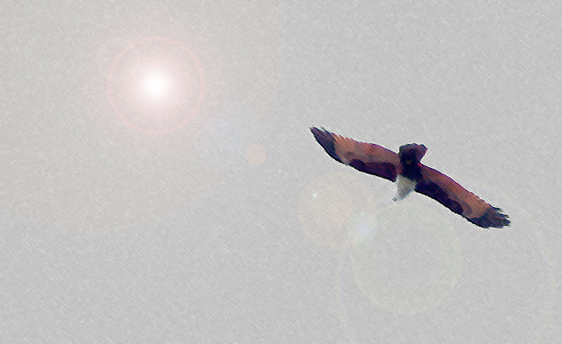 DSCF5766.jpg