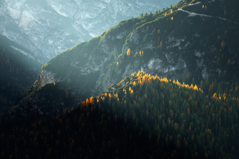Impactful-images-3-1024x683-1-800x534.jpg