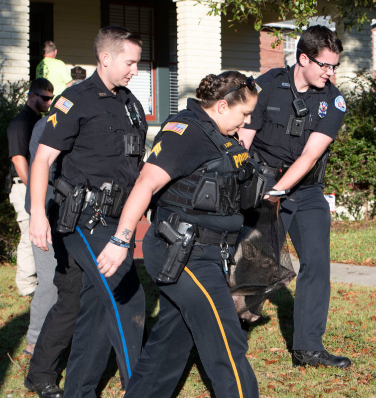 policechasingrunawaypig-4-755x800.jpg
