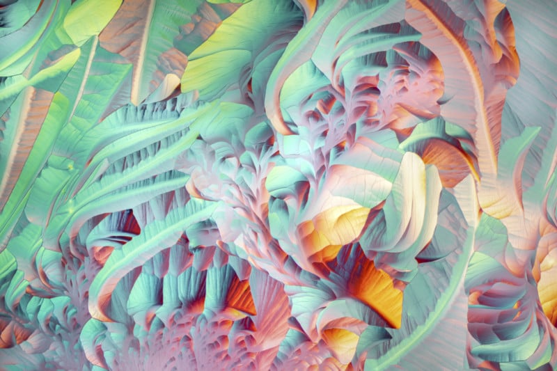 13-L_Glutamine_and_Beta_Alanine-800x533.jpg