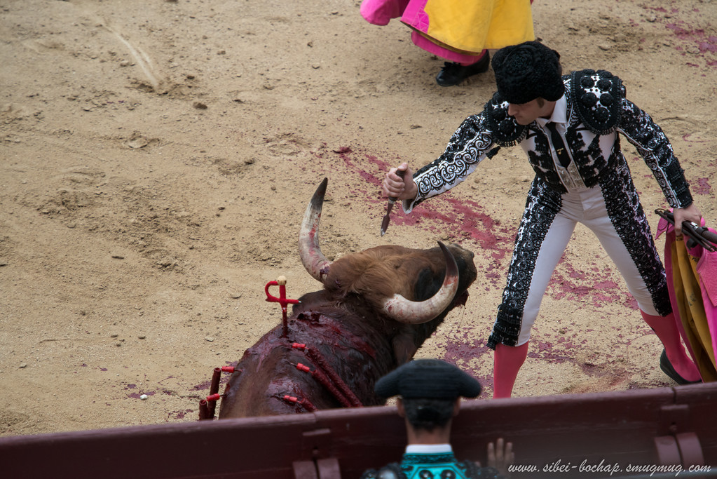 DSC8074-XL.jpg