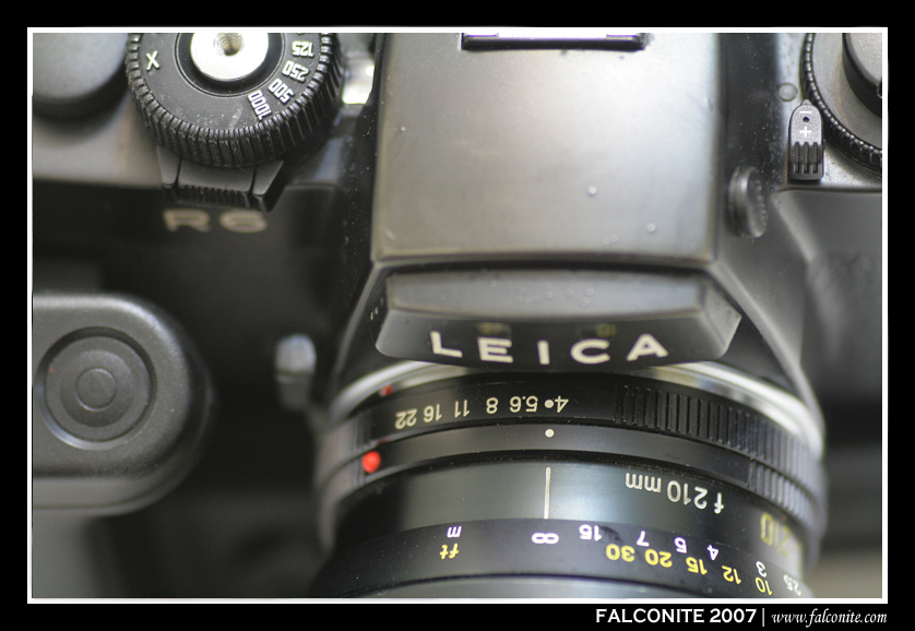 1813554541_f1efaa2544_o.jpg