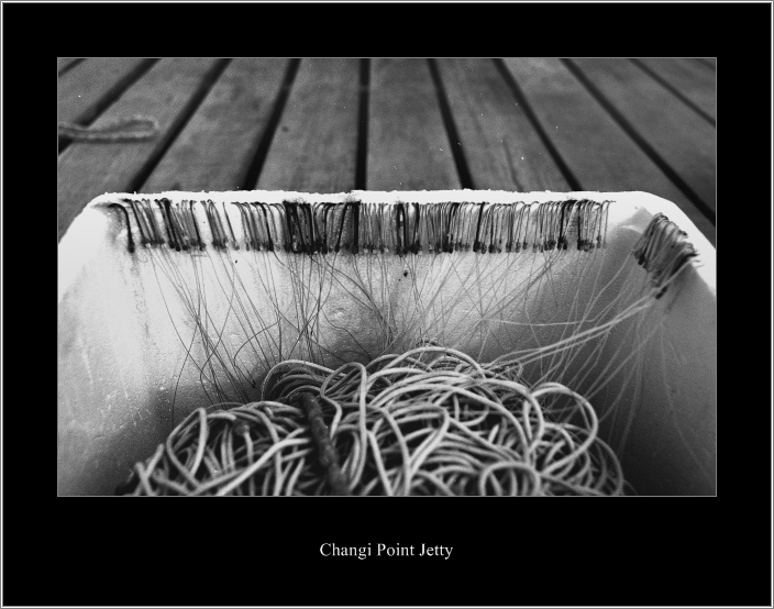 bw004.jpg