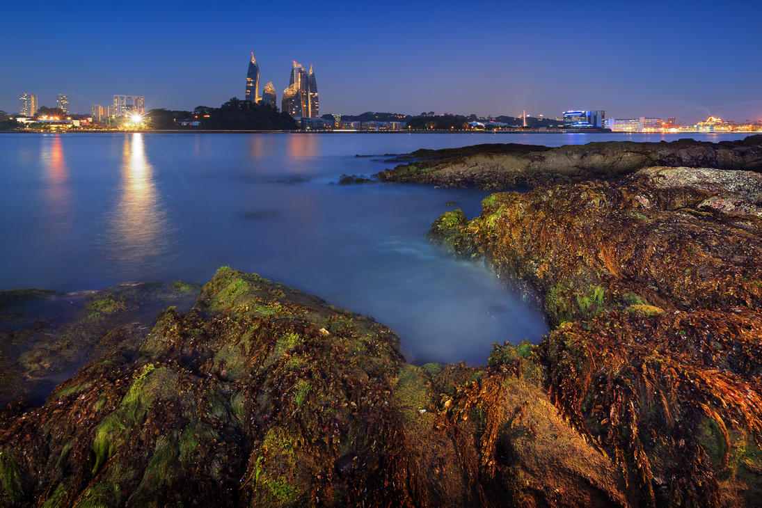 night_bloom_by_draken413o-d5gv11h.jpg