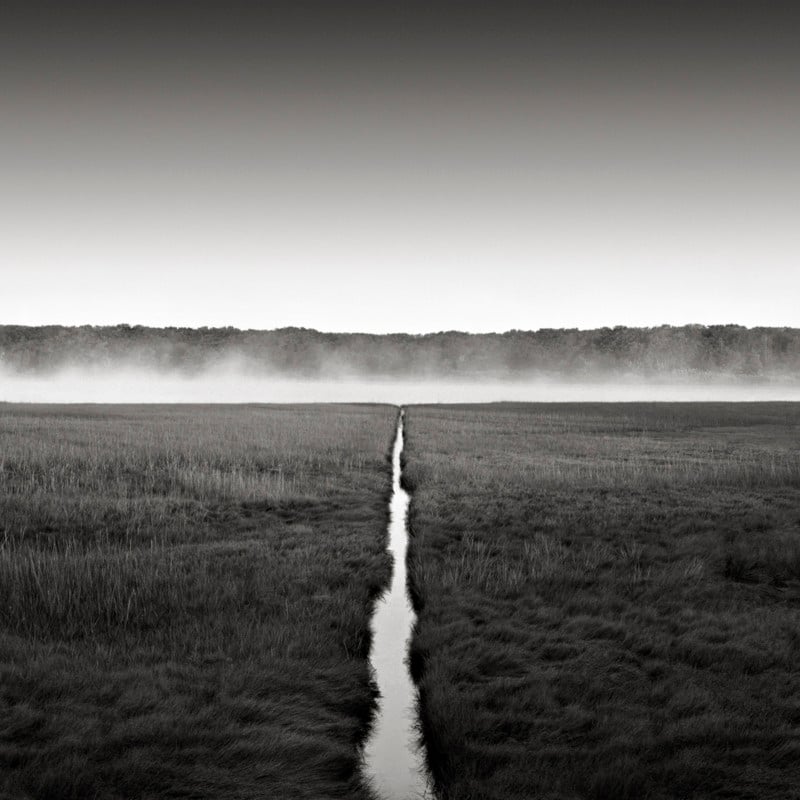 canal-800x800.jpg