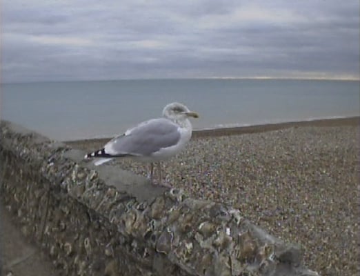nikon-coolpix-300-sample-image-7.jpg