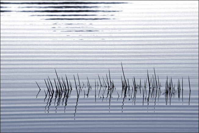 2918108055_152ea4fd8d_o.jpg