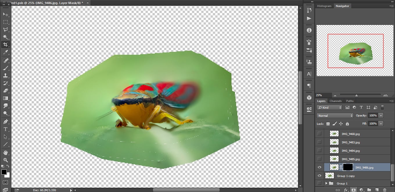 pp7.jpeg