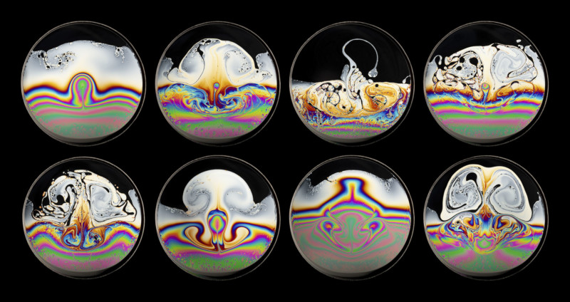 1571_Bubble-Beats-by-Kym-Cox-ARPS-800x424.jpg