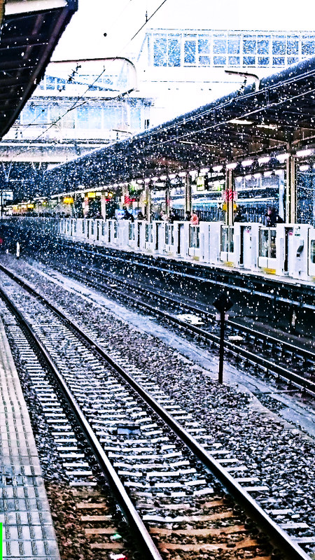 16211666838_0dee195275_c.jpg